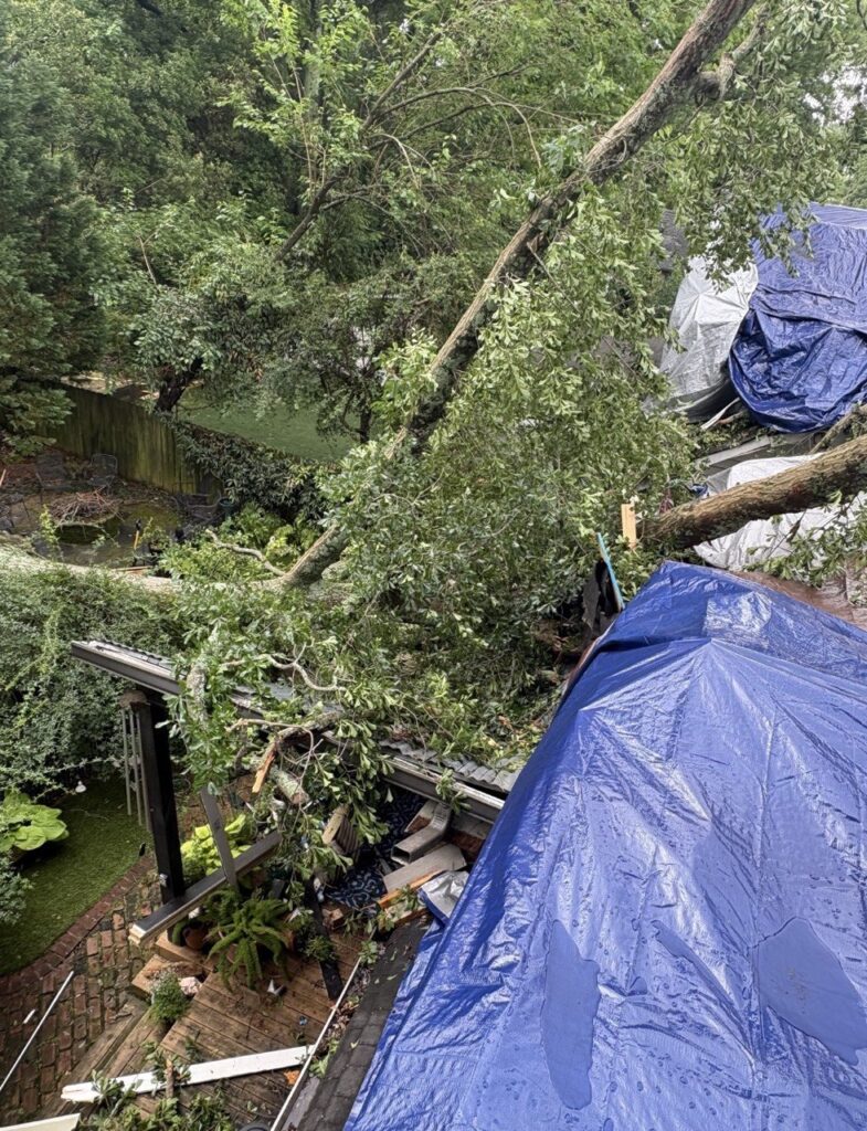 LB-Roofing-Emergency-Tarp-Tree-Damage