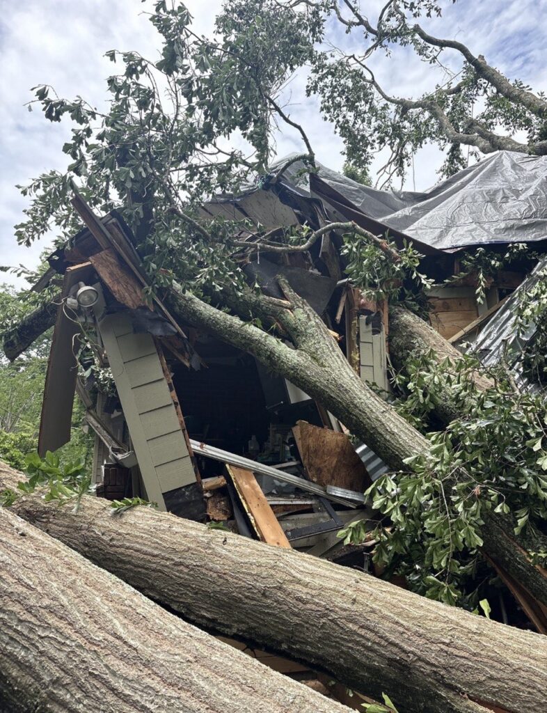 LB-Roofing-Tree-Damage-Roof-Before