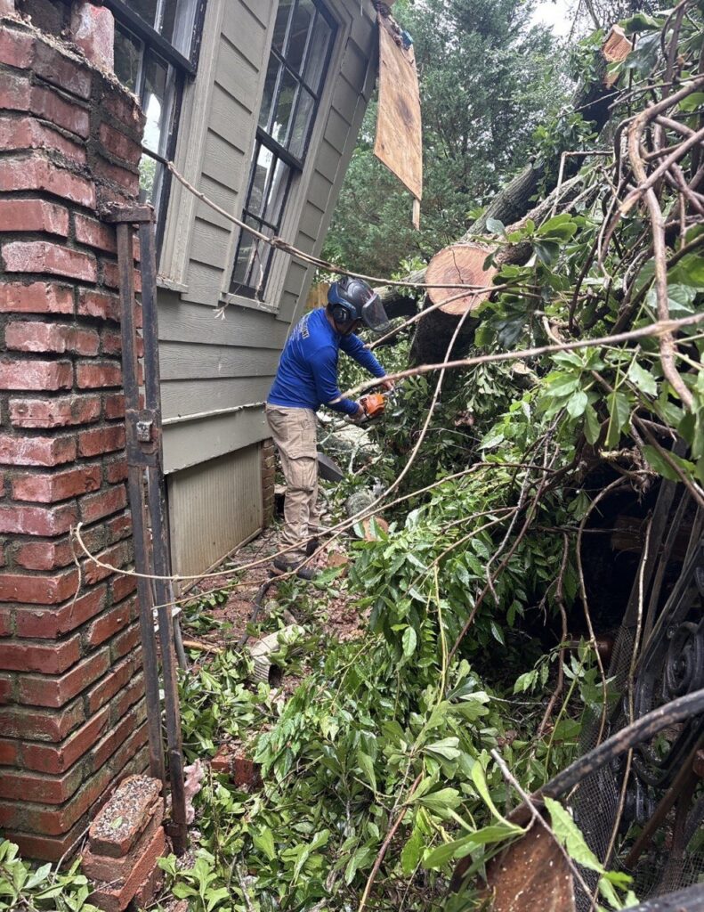 LB-Roofing-Tree-Removal-Chainsaw-Crew
