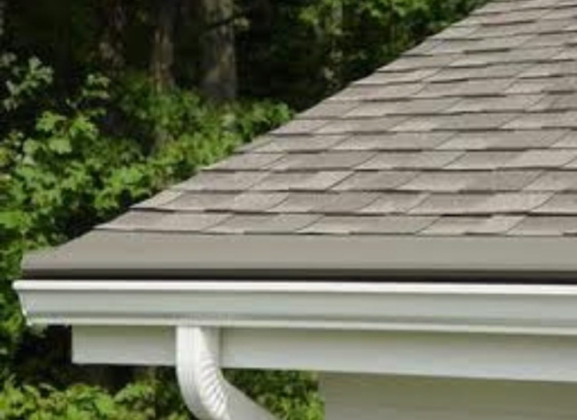 Mesh gutter guard cover installed on Atlanta home
