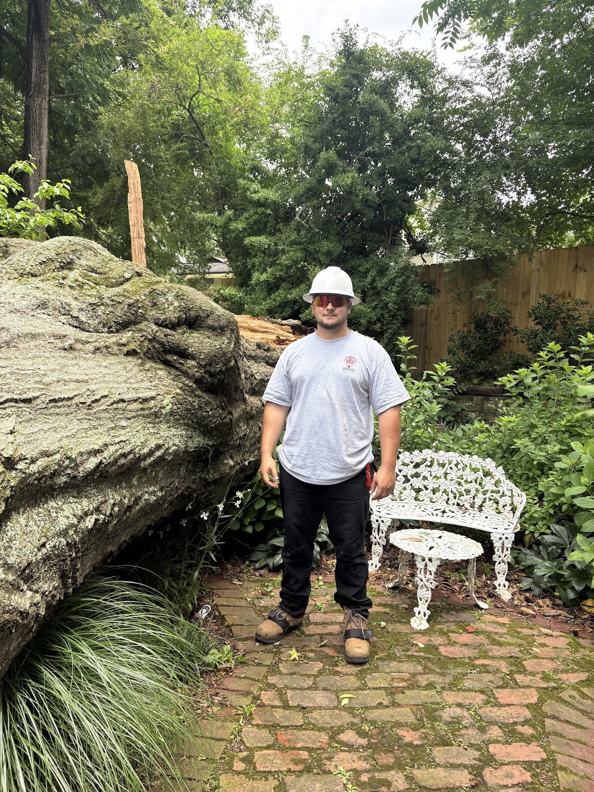 Fallen tree after a storm, metro Atlanta, 2026